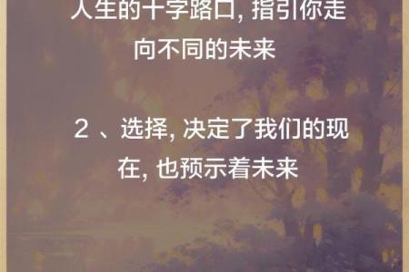 从不同视角看人生：命运、选择与成语的智慧