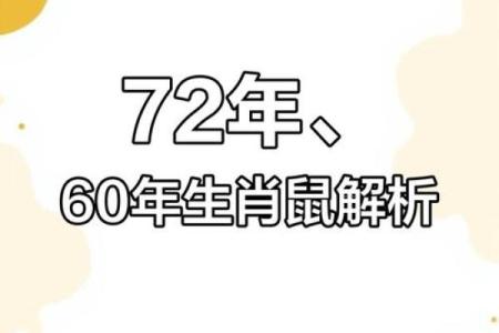 72年出生的人命理分析：属什么？命运如何？