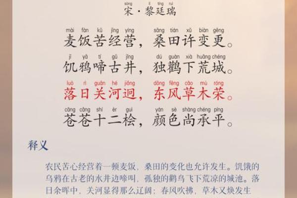 命不可去故宫：一次未尽的文化之旅