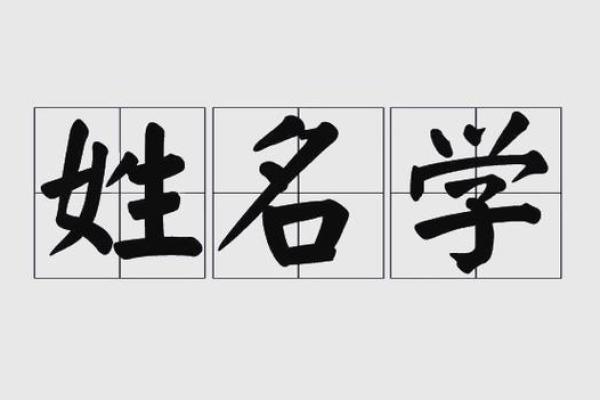 岳云鹏金命土命：相声背后的命理玄机与人生哲学