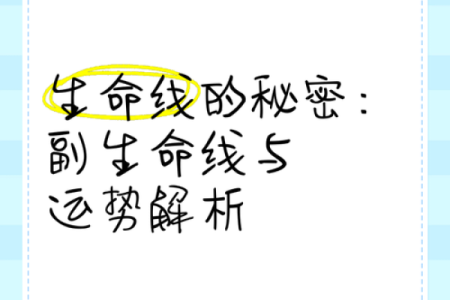 探索命运之光：揭示你今年的最佳运势秘密