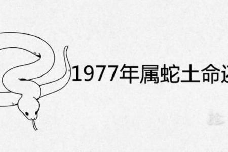 1977年出生的人与火命：生命的亮点与挑战