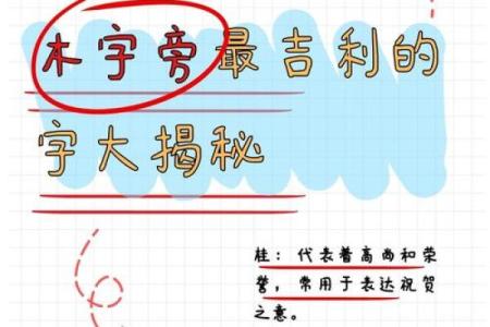 揭开木命之人的命名奥秘：如何选择与之相符的名字？