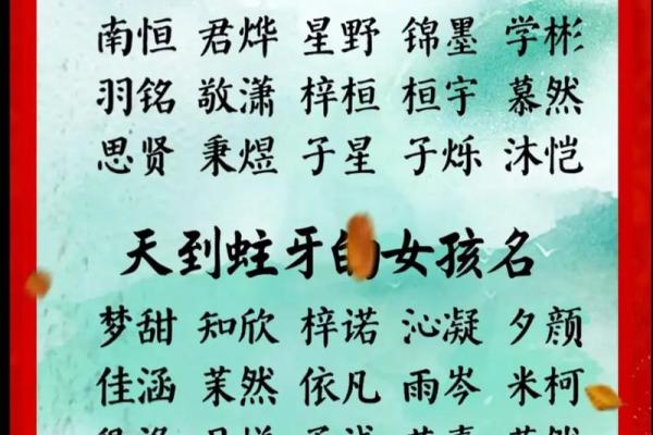 为木命女孩起名：优雅蕴意的小名推荐与解析