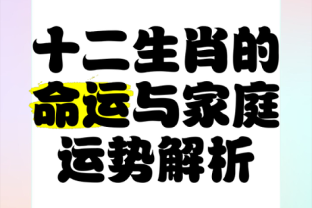 2023年牛生肖运势解析：揭示命运中的吉凶与机遇