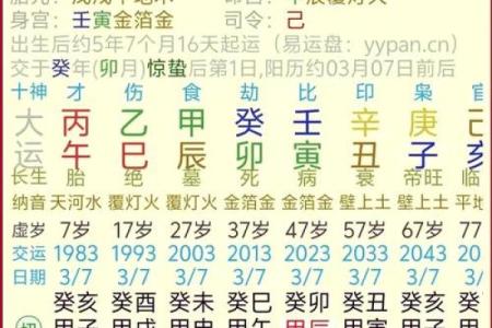 1947年出生的人命理与卦象解析，揭示命运的奥秘与人生指导