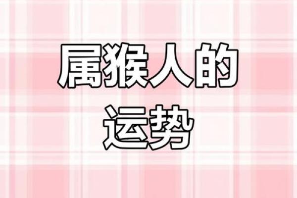 探索一九八零年属猴命的精彩人生与命运轨迹 探索一九八零年属猴命的精彩人生与命运轨迹