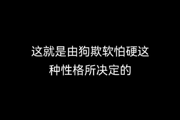 2002年出生的畜生命:命运与性格的深度解析 2002年出生的畜生命:命运与性格的深度解析