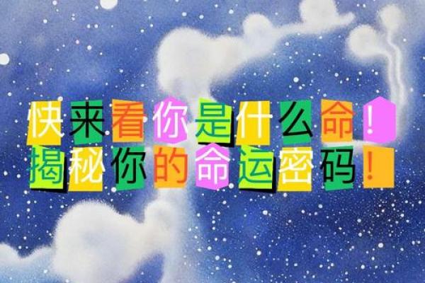 揭秘命理中的“男命2女命4”,了解你的命运密码! 揭秘命理中的“男命2女命4”,了解你的命运密码!