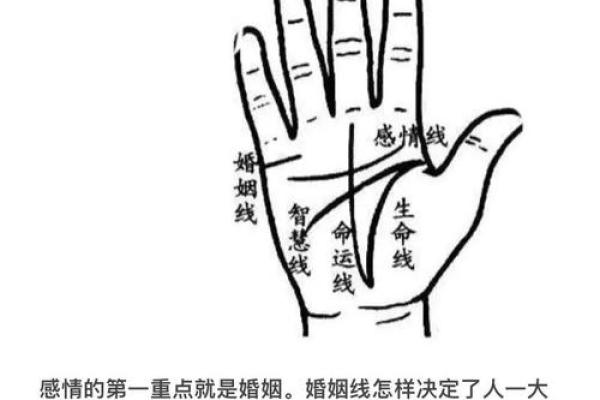 手掌长但指头短,命运如何掌控?揭秘手相的奥秘! 手掌长但指头短,命运如何掌控?揭秘手相的奥秘!