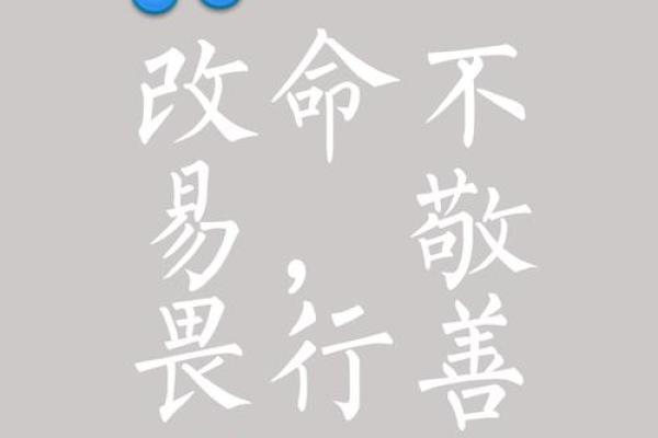 命理中“无印”代表了什么?探究人生与命运的深层含义 命理中“无印”代表了什么?探究人生与命运的深层含义