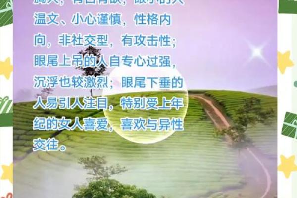 眉毛像在飞的命运解析与人生智慧