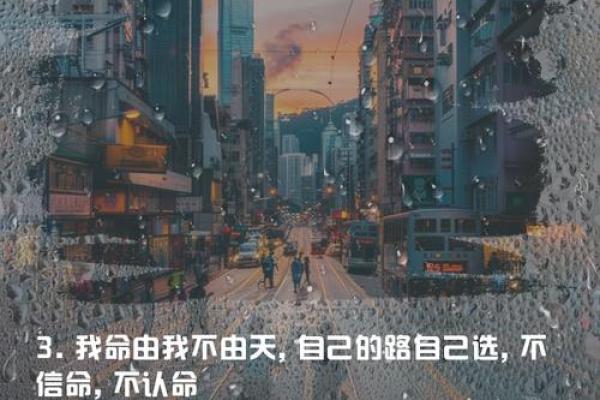 命由我不由天:掌控人生的秘密与智慧 命由我不由天:掌控人生的秘密与智慧