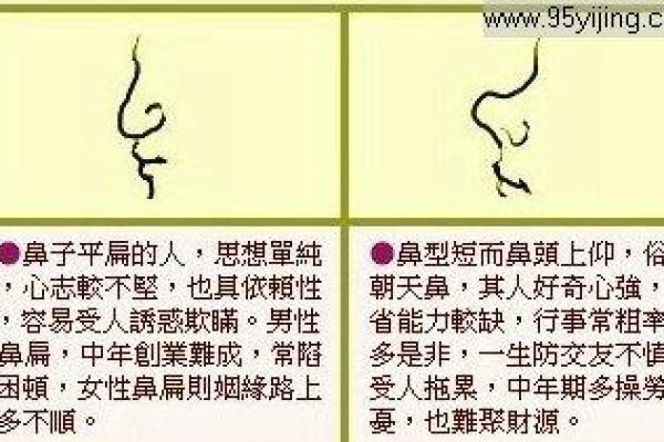 鼻子大的人命运解析:从面相看性格与人生运势 鼻子大的人命运解析:从面相看性格与人生运势
