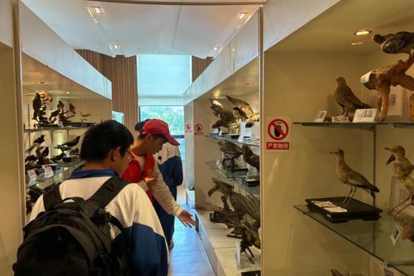 1986年出生者命运解析:探索生命的奥秘与精彩人生 1986年出生者命运解析:探索生命的奥秘与精彩人生