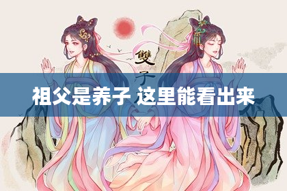 祖父是养子 这里能看出来