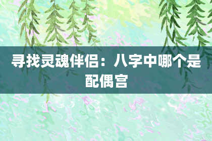 寻找灵魂伴侣：八字中哪个是配偶宫