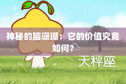 神秘的脑珊瑚：它的价值究竟如何？