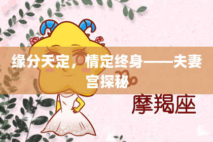 缘分天定，情定终身——夫妻宫探秘