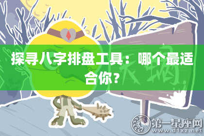 探寻八字排盘工具：哪个最适合你？