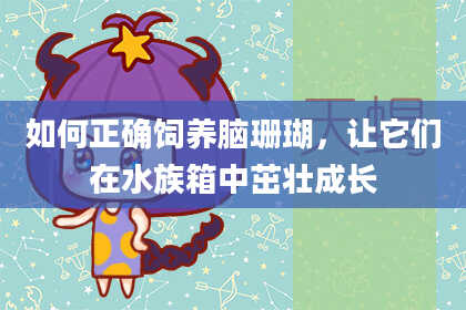 如何正确饲养脑珊瑚，让它们在水族箱中茁壮成长