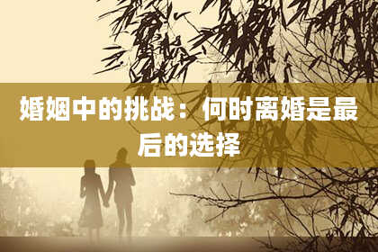 婚姻中的挑战：何时离婚是最后的选择